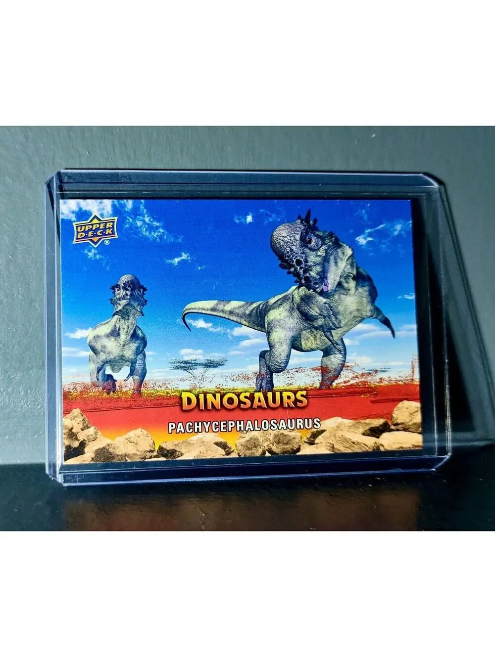 2015 Upper Deck Dinosaurs Pachycephalosaurus Extinction Red Parallel #30 Card